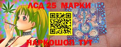 Альфа ПВП Дубна