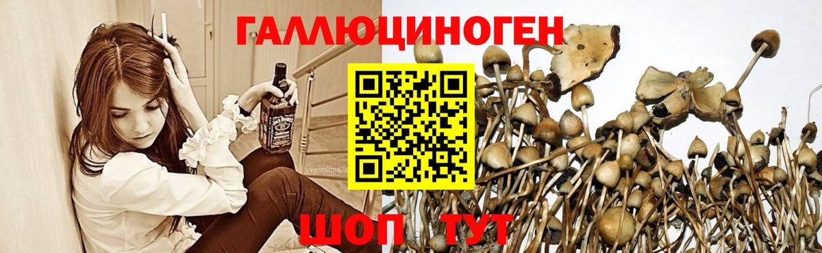 Псилоцибиновые грибы мицелий  Вход с VPN  Гусь-Хрустальный 