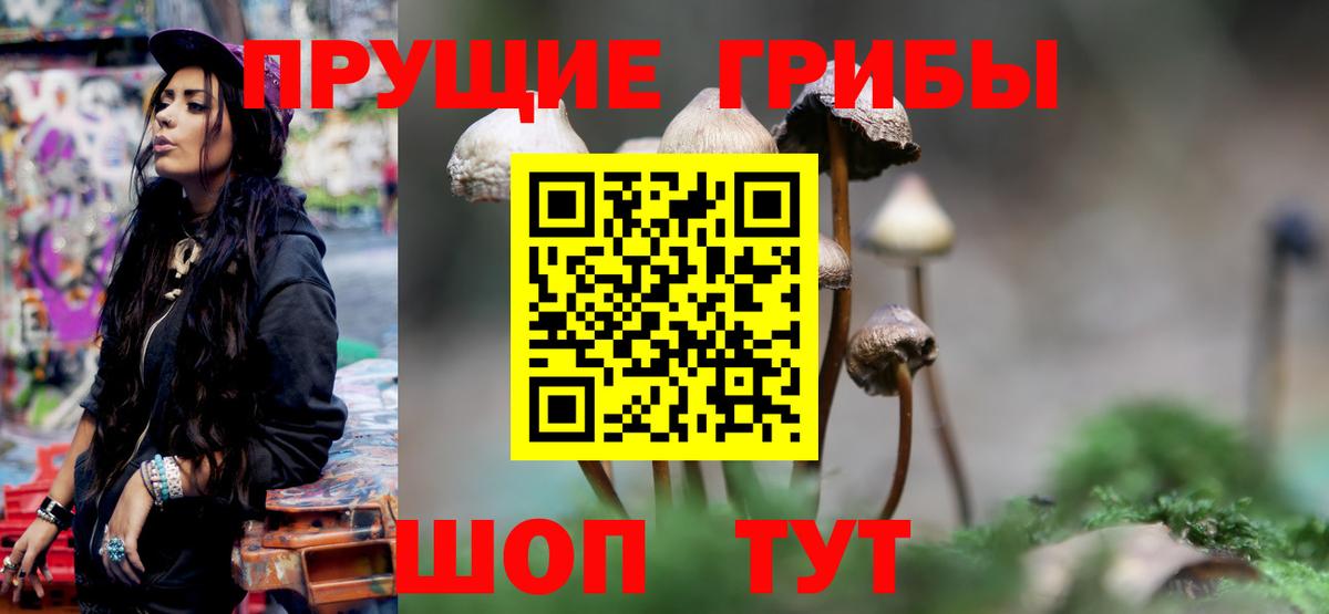 Псилоцибиновые грибы ЛСД Гусь-Хрустальный